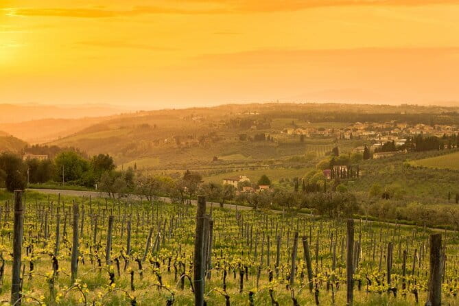 Chianti Wine Tour from Florence to San Gimignano with 2 Wineries - Is the $330.39 price good value?