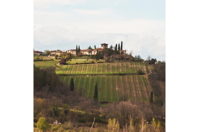 Chianti Wine Tour from Florence to San Gimignano with 2 Wineries - Two hours to explore San Gimignano