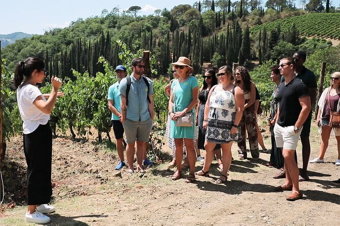 Chianti Wine Tour: Two Wine Tastings, Vineyards and Cellar Visit - Piazzale Montelungo and the early start
