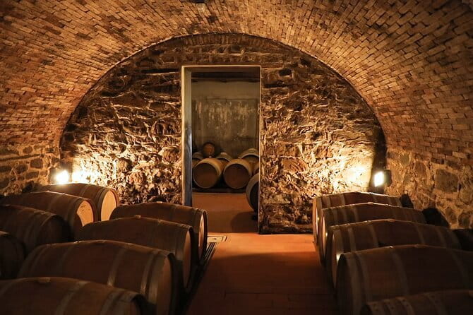 Chianti Wine Tour: Two Wine Tastings, Vineyards and Cellar Visit - First winery: organic production and local food