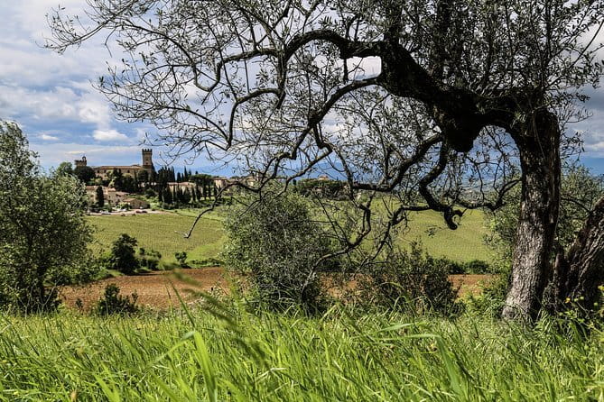 Chianti Wineries Tour with Tuscan Lunch and San Gimignano - What the $229.77 price really covers