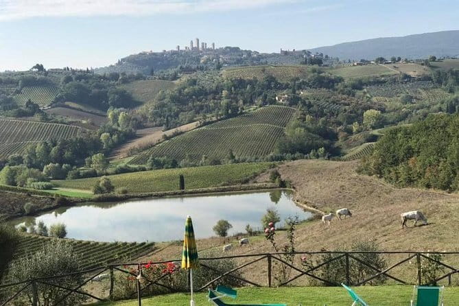 Chianti Wineries Tour with Tuscan Lunch and San Gimignano - San Gimignano between tastings