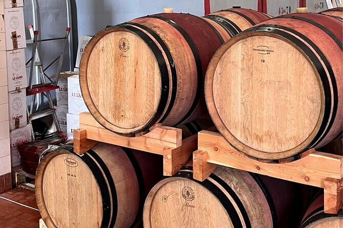 Chianti Winery + Brolio Castle Private Tour - Key points at a glance