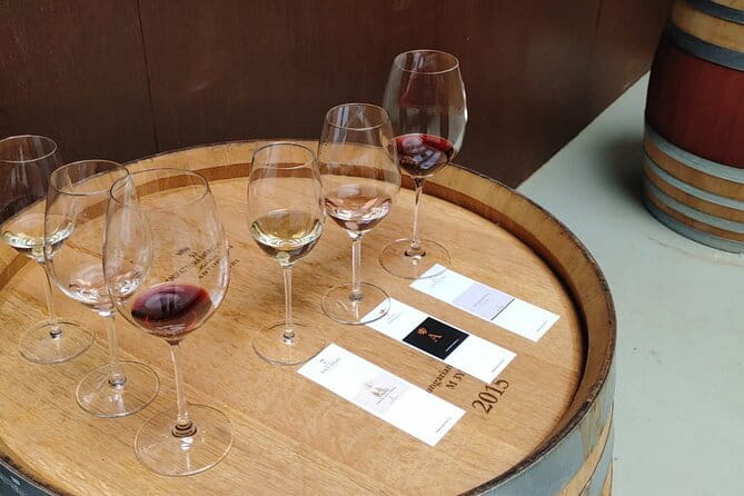 Chianti Winery + Brolio Castle Private Tour - Tenuta Le Lame in San Casciano