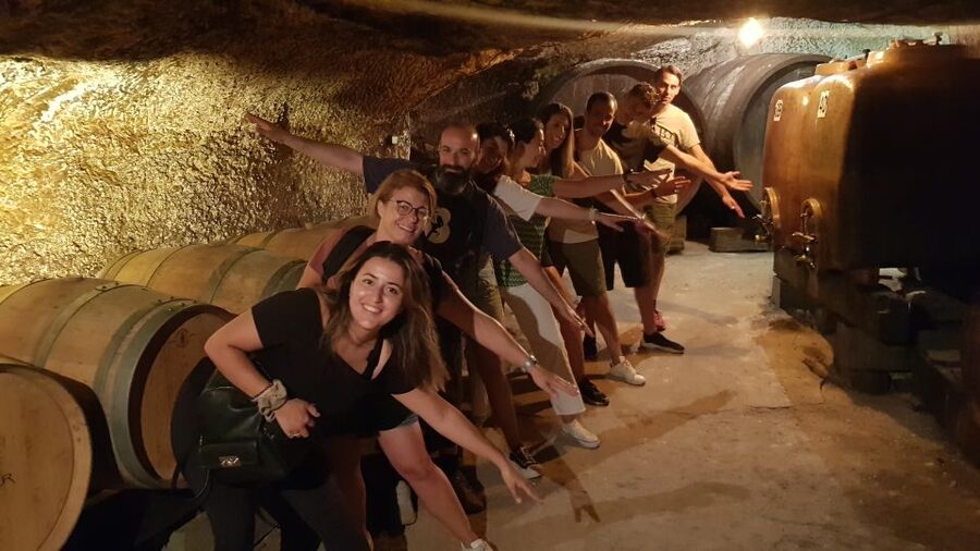 Chinon: Bicycle Tour of Saumur Wineries with Picnic Lunch - Key points at a glance