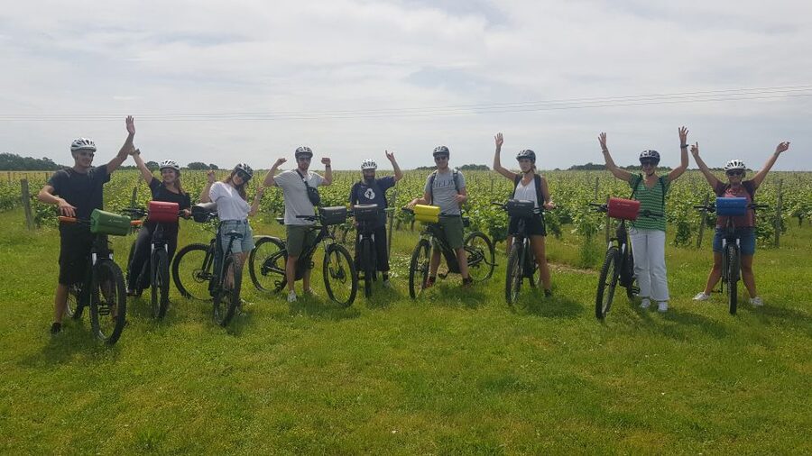 Chinon: Bicycle Tour of Saumur Wineries with Picnic Lunch - A Loire picnic made from local products
