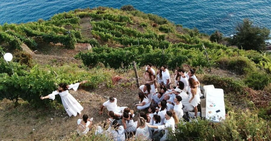 Cinque Terre: tasting in the cellar with visit to vineyards - Optional pours: Sciacchetrà and Pipato
