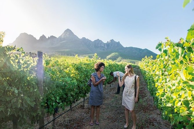 City Sightseeing Full Day Tour with Stellenbosch and Franschhoek Wineries - Stellenbosch brings oak-lined streets and Cape Dutch style