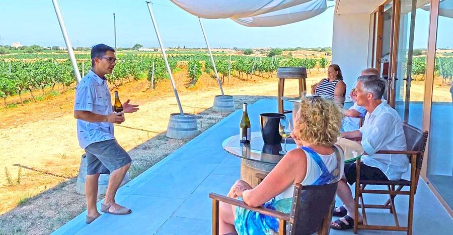 Ciutadella de Menorca: Family Winery Tour with Wine Tasting - Walking among the vines by season