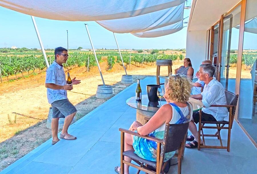 Ciutadella de Menorca: Family Winery Tour with Wine Tasting - A seated tasting with Menorcan food