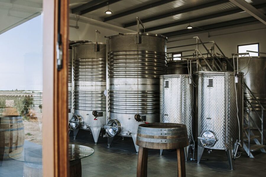 Ciutadella de Menorca: Family Winery Tour with Wine Tasting - What makes the experience memorable