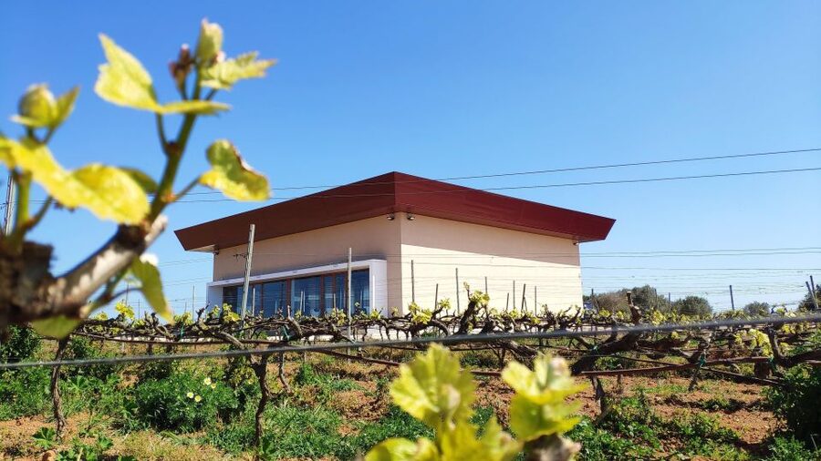 Ciutadella de Menorca: Family Winery Tour with Wine Tasting - From grapes to bottles