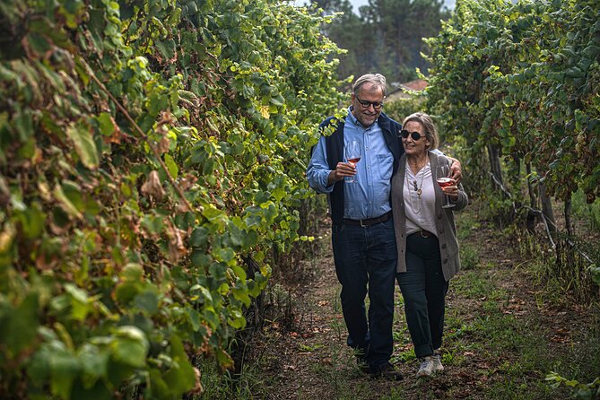 Classic Tasting | Quinta de Santa Cristina Vinho Verde - How the price compares with the experience