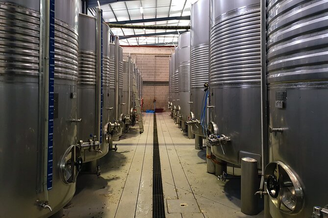 Classic Tasting | Quinta de Santa Cristina Vinho Verde - A thoughtful setup for children and mixed-age groups