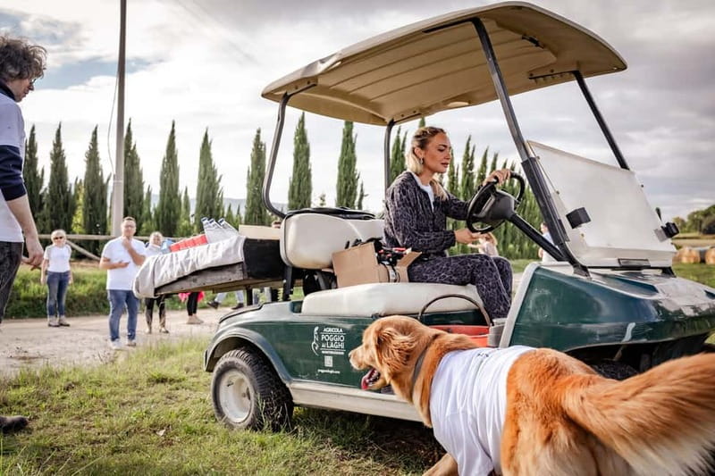 Classic: Vineyard Golf Cart Tour & Wine Tasting and Lunch - What the wine tasting includes