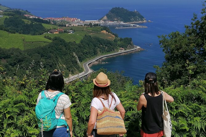 Coastal "Winery Camino Trail" Walking Tour from San Sebastian - Key points at a glance