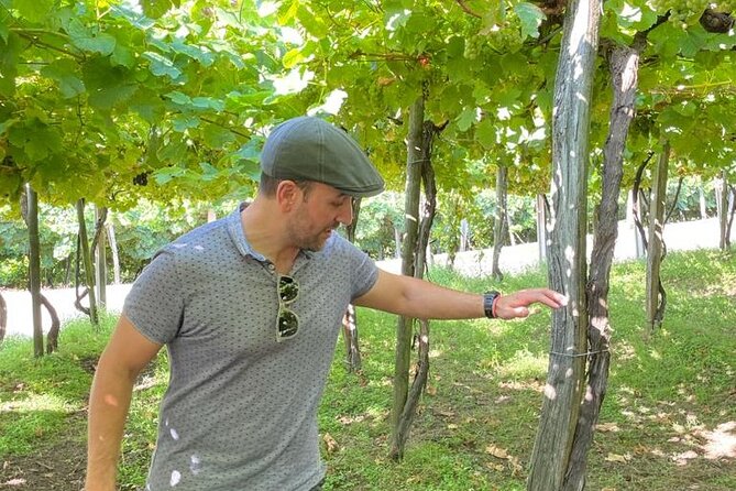 Coastal "Winery Camino Trail" Walking Tour from San Sebastian - Getaria finishes with grills and history