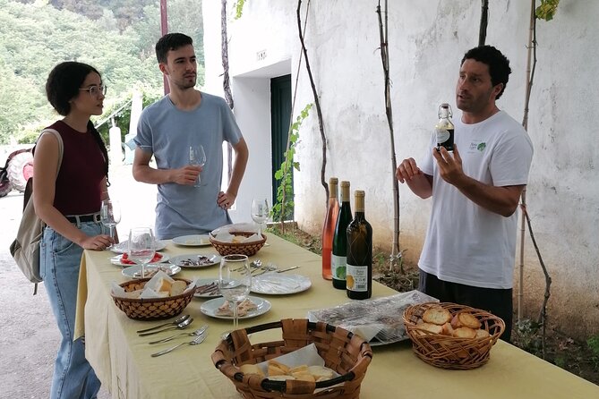 Coastal "Winery Camino Trail" Walking Tour from San Sebastian - Food is a central part of the experience