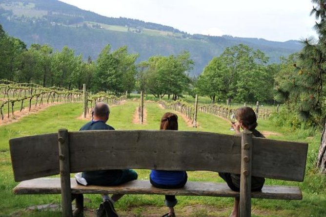 Columbia Gorge Waterfalls & Wineries from Portland: All-Inclusive Afternoon Tour - What $189 includes, and what it does not