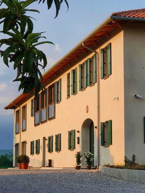 Conegliano: Prosecco Hills and Vineyards tour - Key points to know before booking