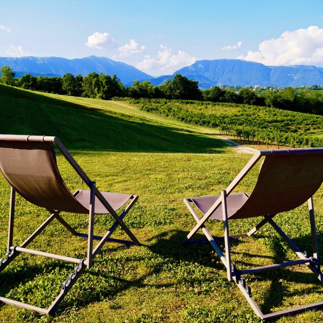 Conegliano: Prosecco Hills and Vineyards tour - Understanding Prosecco DOCG without getting lost in jargon