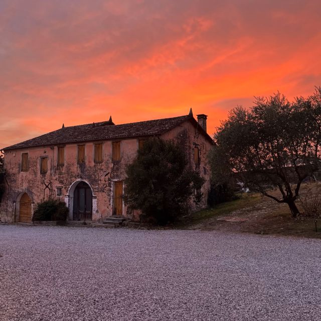 Conegliano: Prosecco Hills and Vineyards tour - What the 90-minute schedule means for your day