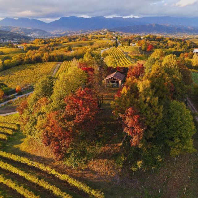 Conegliano: Prosecco Hills and Vineyards tour - Is the $34 price good value?