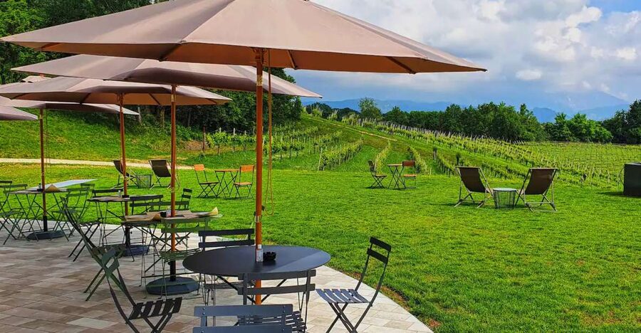 Conegliano: Prosecco Hills and Vineyards tour - Meeting the ManiSagge team at the estate