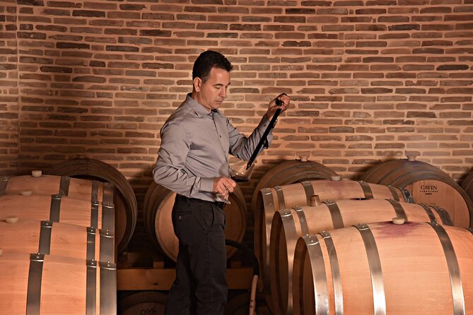 Corinth Winery Tour and Organic Fine Wine Tastings - Key points to know before booking