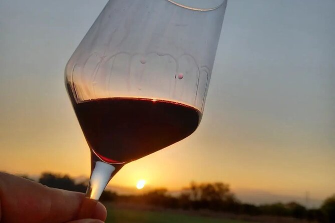 Corinth Winery Tour and Organic Fine Wine Tastings - Cheese, olives, tomatoes, and breadsticks