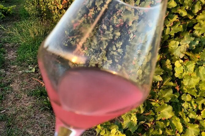 Corinth Winery Tour and Organic Fine Wine Tastings - Why the 90-minute format works