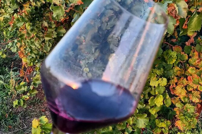Corinth Winery Tour and Organic Fine Wine Tastings - Is $51.67 a fair price?