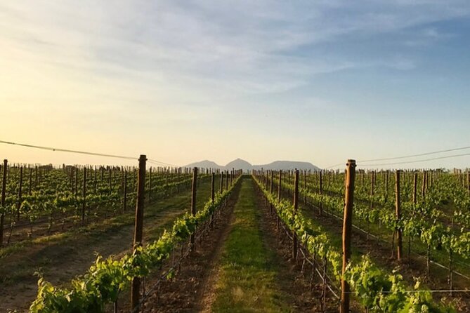 Costa Brava Coves Towns and Winery Private Tour - Key points to know before booking