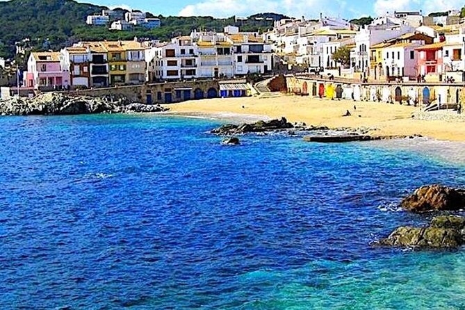 Costa Brava Coves Towns and Winery Private Tour - A traditional winery and old grape varieties