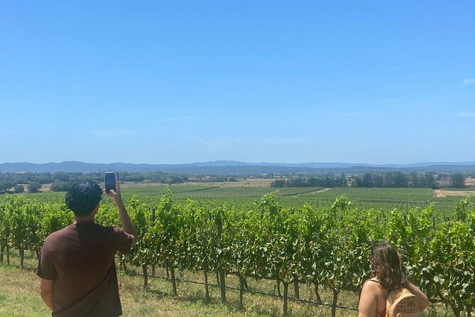 Costa Brava Coves Towns and Winery Private Tour - Llafranc and the coves of the Costa Brava