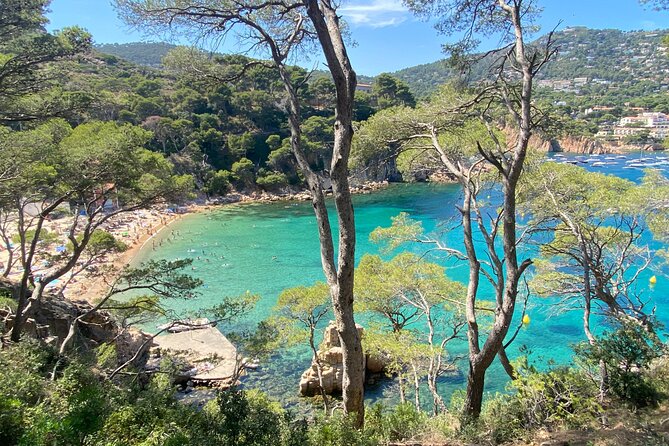 Costa Brava Coves Towns and Winery Private Tour - Begur’s castle ruins and views toward the islands