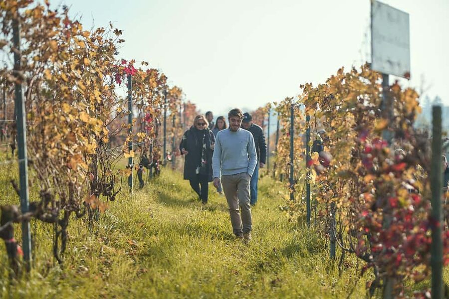 Costigliole d'Asti: Cellar tour and tasting - Key points to know before booking