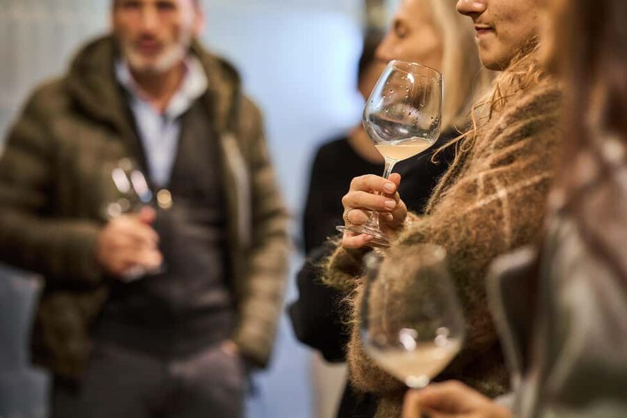 Costigliole d'Asti: Cellar tour and tasting - Starting among the vines above Costigliole d’Asti