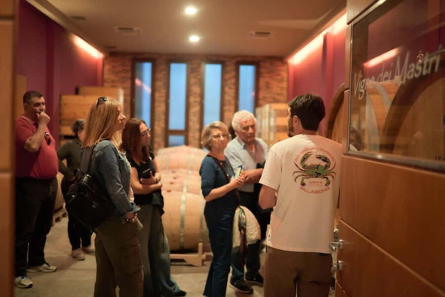 Costigliole d'Asti: Cellar tour and tasting - From grape to bottle inside the winery