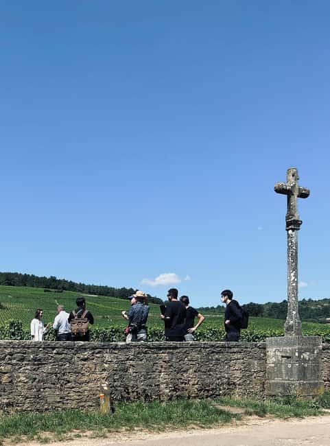 Côte de Nuits: Excursion in the heart of the vineyards - From Beaune to the Côte de Nuits