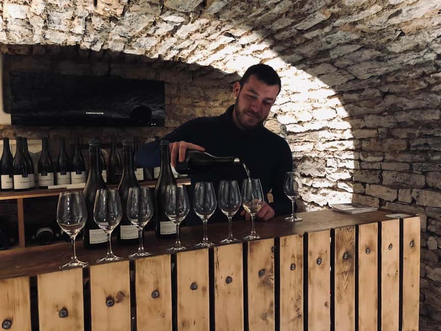 Côte de Nuits: Excursion in the heart of the vineyards - Seeing Romanée-Conti, Richebourg, and Chambertin