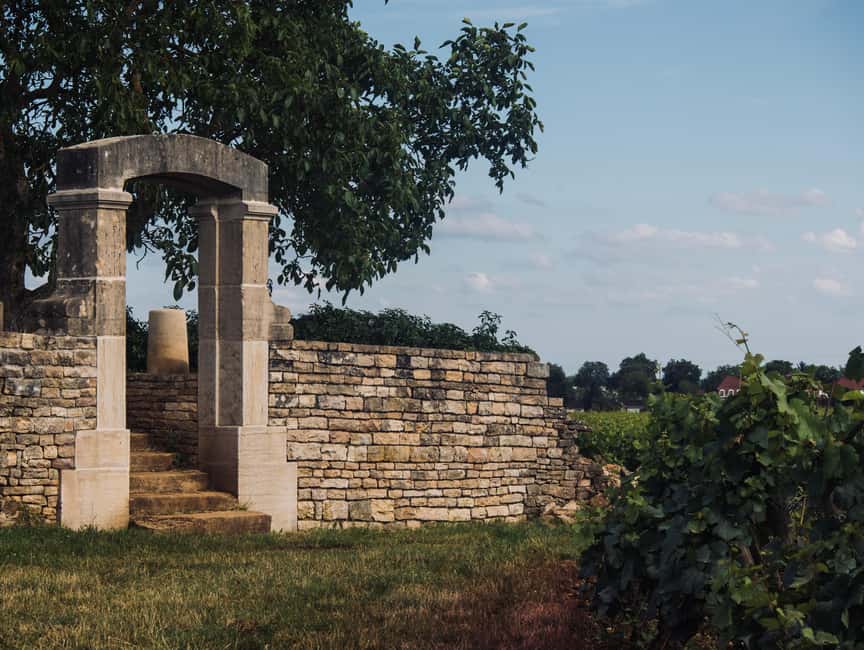 Côte de Nuits: Excursion in the heart of the vineyards - What the 150-minute schedule really gives you