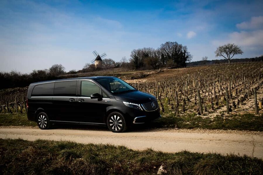 Côte de Nuits: Excursion in the heart of the vineyards - Who should book this Côte de Nuits outing?