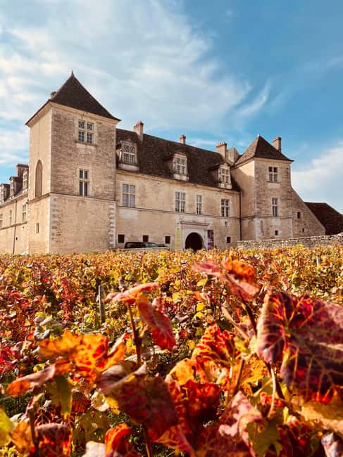 Côte de Nuits: Excursion in the heart of the vineyards - Should you book it?