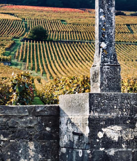 Côte de Nuits: Excursion in the heart of the vineyards - The guide makes the difference