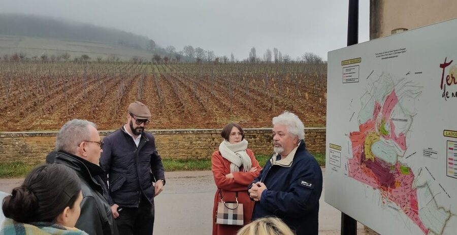 Côte de Nuits Private Local Wineries and Wine Tasting Tour - Key points at a glance