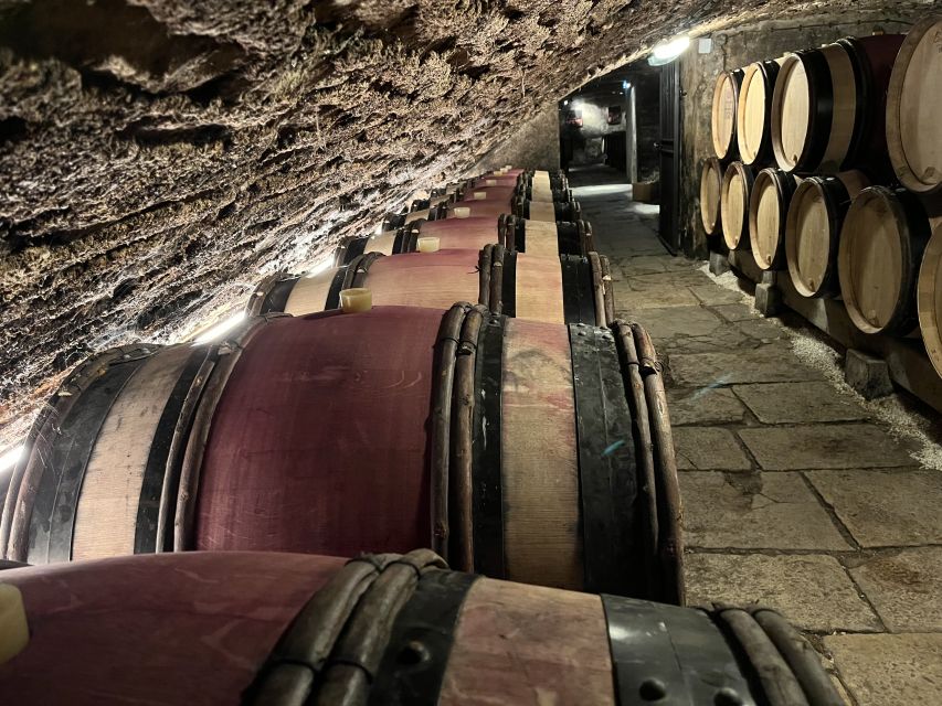 Côte de Nuits Private Local Wineries and Wine Tasting Tour - Who should book this private Burgundy tour