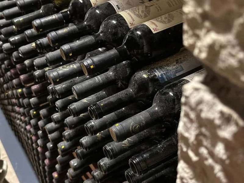 Crete: 2 Wineries Private Tour with Wine Tasting & Lunch - Who will enjoy this day most
