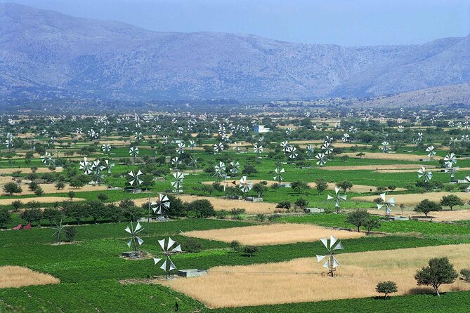 Crete in a Day: Knossos, Soap Workshops, Olive Oil & Wine Tasting - Private transport and the shape of the day