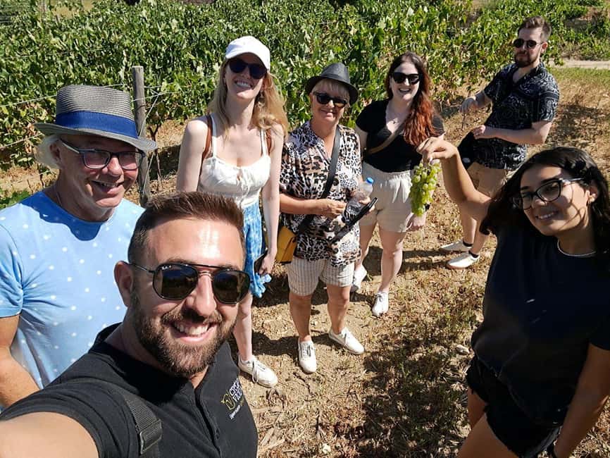 Crete: Knossos Palace, Winery & Olive Oil Tour with Lunch - FAQ